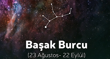 Zekâsı ve olayları bakış açısıyla hep ilerleme hedefleyen bu kişileri kısıtlamaya çalışmak