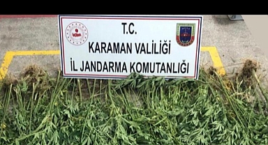 UYUŞTURUCU VE KENEVİR OPERASYONU