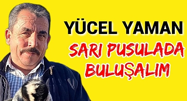 YÜCEL YAMAN,