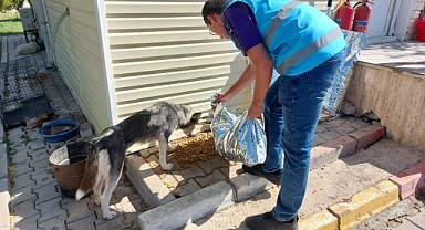 HAYVANLARI KORUMA GÜNÜ’NDE ANLAMLI ZİYARET