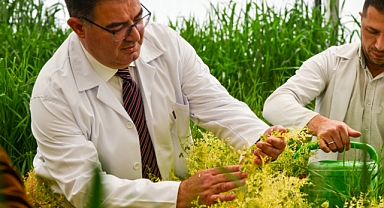 KMÜ’DEN KÜRESEL İLK: IoT TABANLI KAPASİTİF KÖK AÇI BELİRLEME SENSÖRÜ PATENTLENDİ