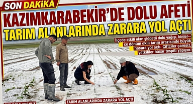 Kazımkarabekir’de Dolu Afeti Tarım Alanlarında Zarara Yol Açtı